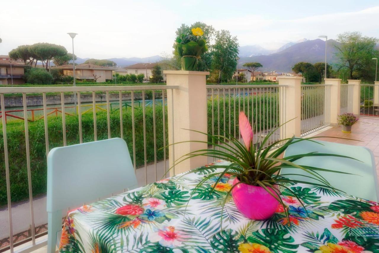 Residence Deamarina Marina di Massa Dış mekan fotoğraf