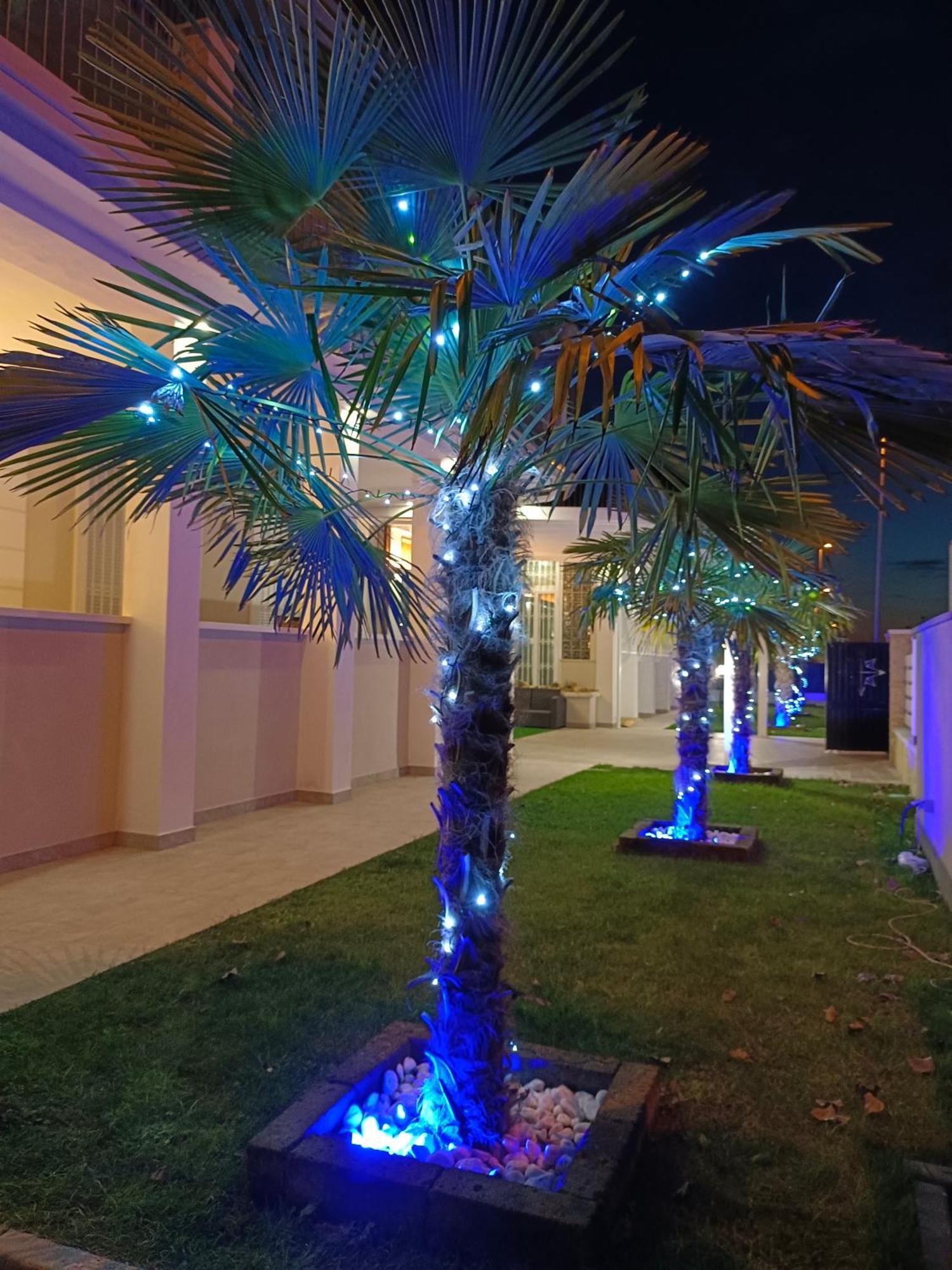 Residence Deamarina Marina di Massa Dış mekan fotoğraf