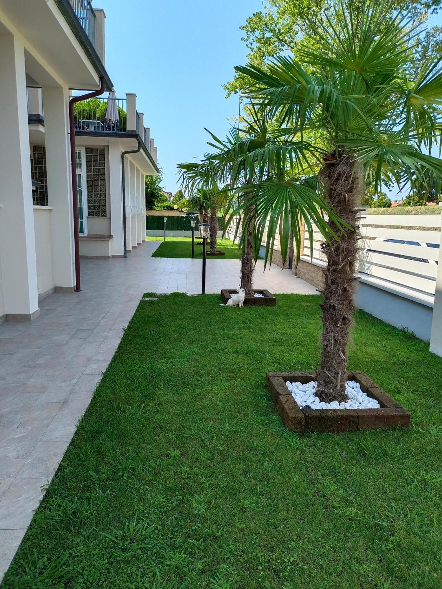 Residence Deamarina Marina di Massa Dış mekan fotoğraf