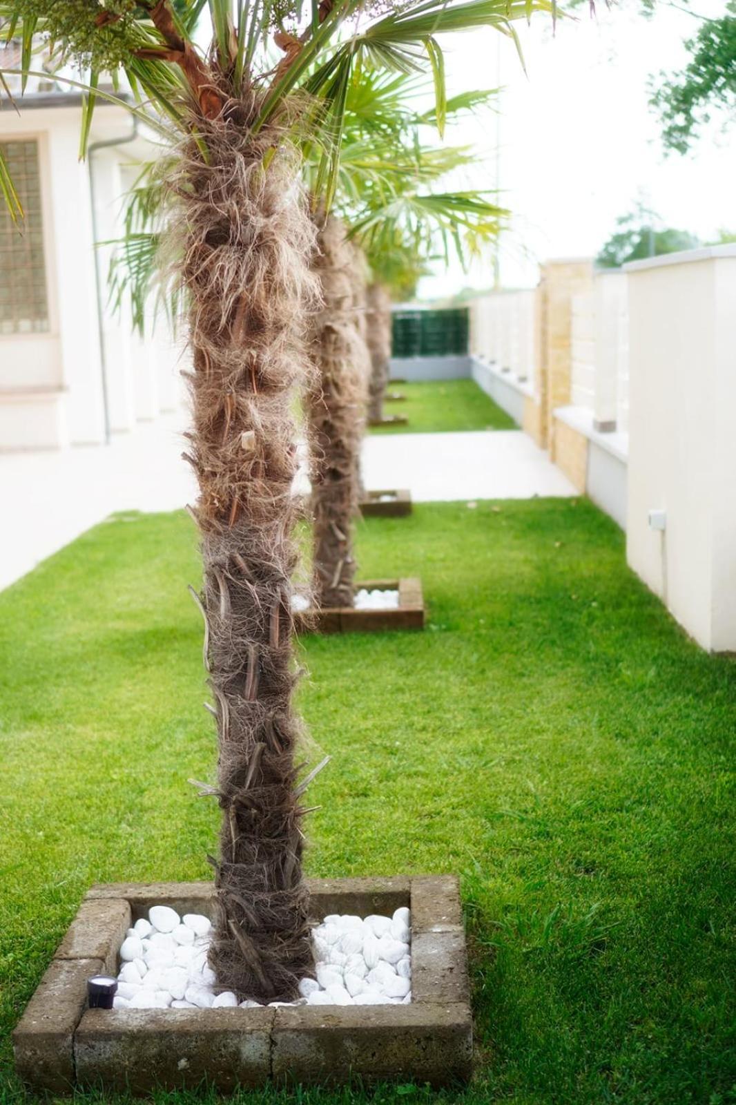 Residence Deamarina Marina di Massa Dış mekan fotoğraf